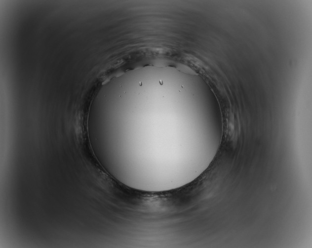 X0000088090616200705251430