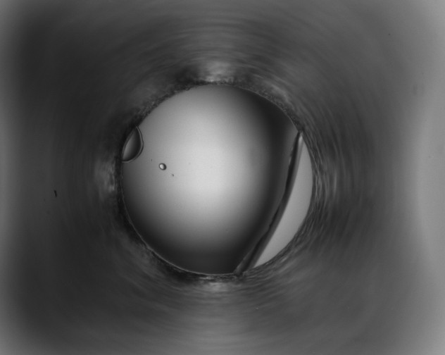 X0000088090620200705251430