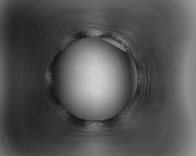 X0000088090621200705251430