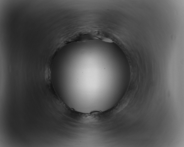 X0000088090624200705251430