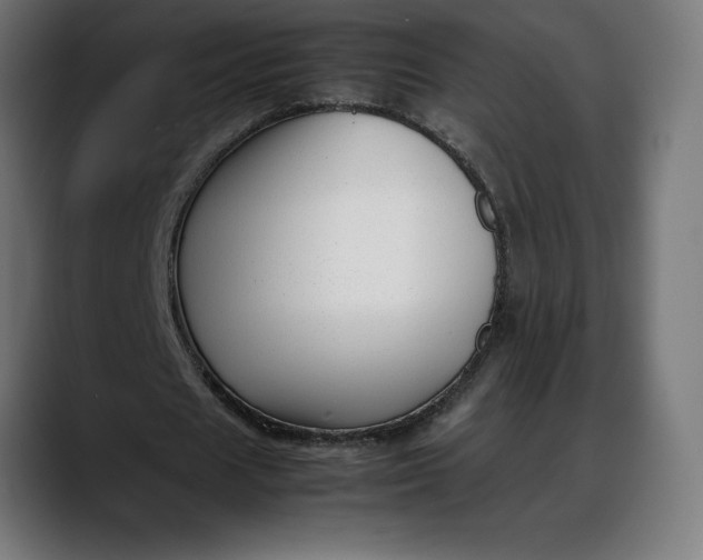 X0000088090625200705251429