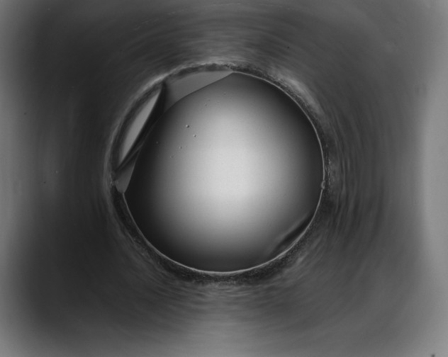 X0000088090628200705251429