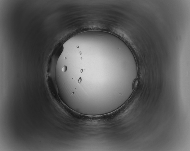 X0000088090629200705251429