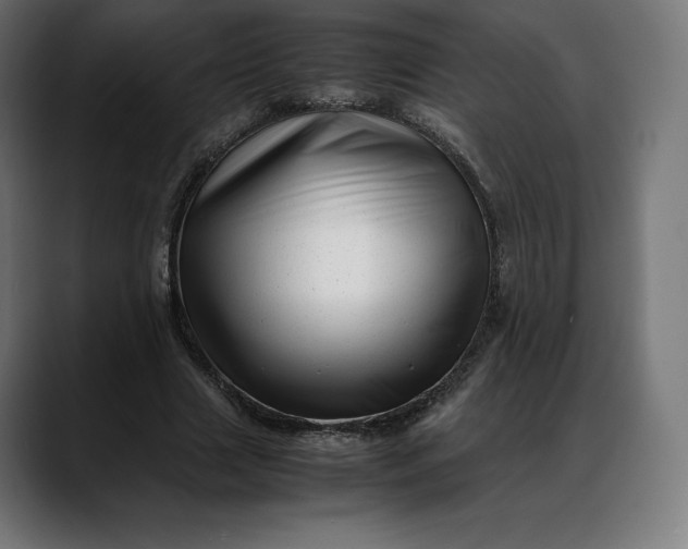 X0000088090633200705251429