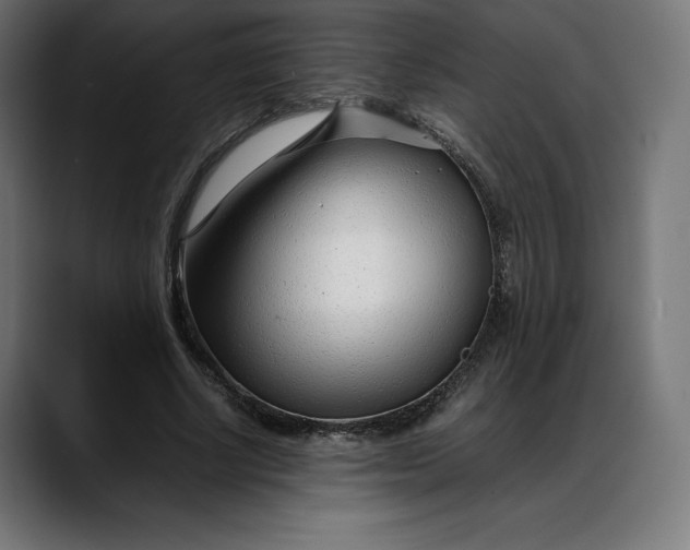 X0000088090634200705251429