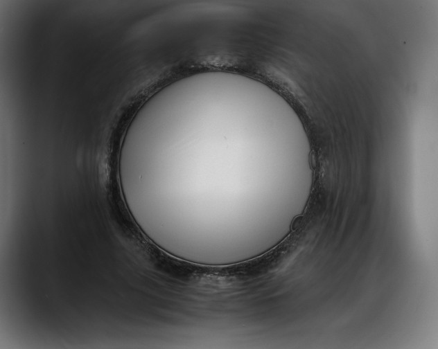 X0000088090635200705251429