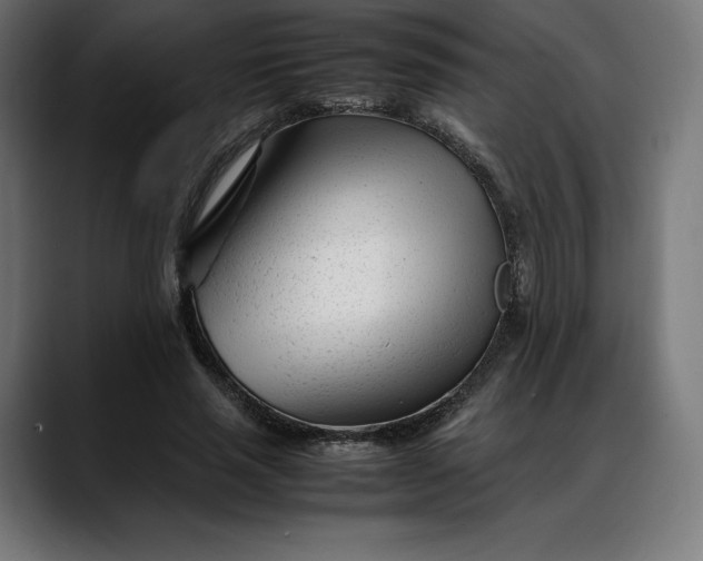 X0000088090637200705251429