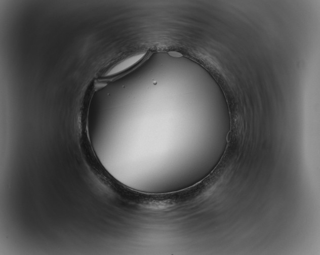 X0000088090638200705251429