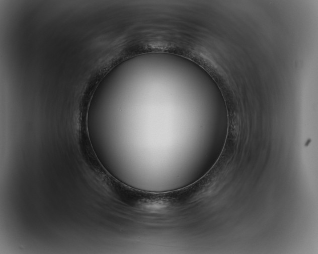 X0000088090639200705251429