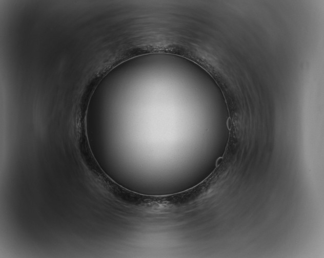 X0000088090642200705251429