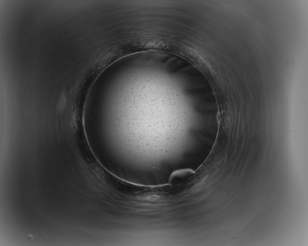 X0000088090643200705251430