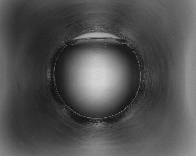 X0000088090646200705251430