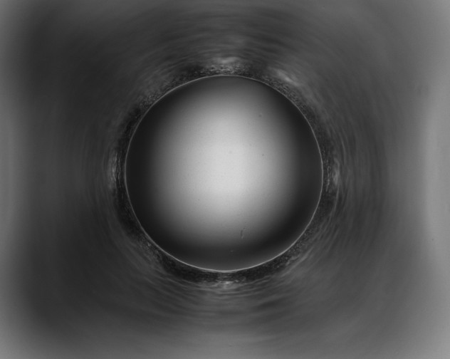 X0000088090647200705251430