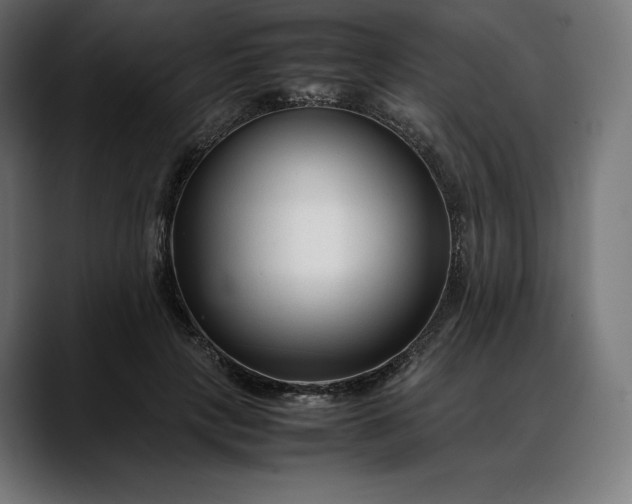 X0000088090649200705251430