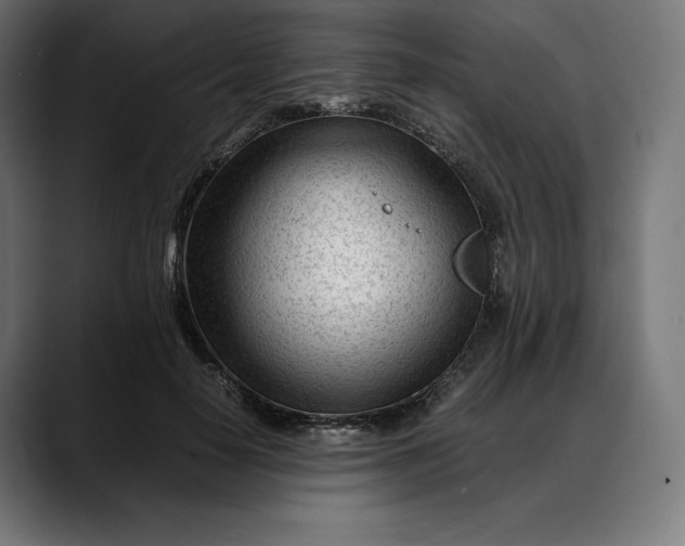 X0000088090650200705251430