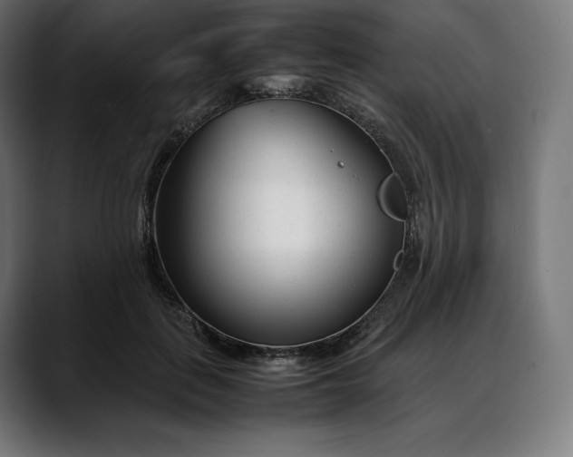 X0000088090651200705251430