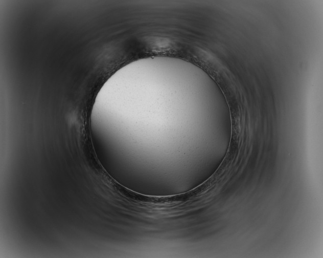 X0000088090653200705251430