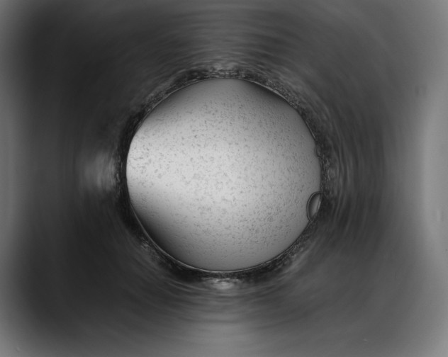 X0000088090654200705251430