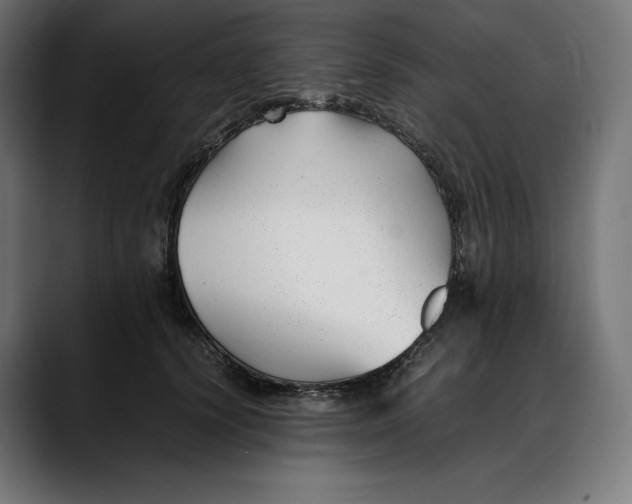 X0000088090656200705251430