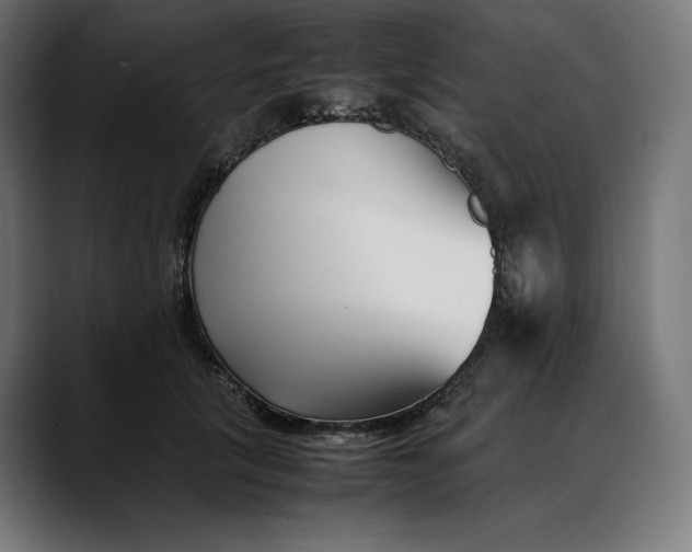 X0000088090657200705251430