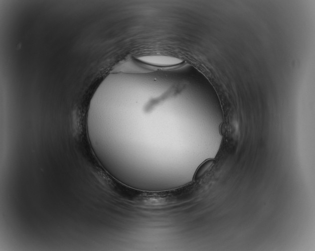 X0000088090658200705251430