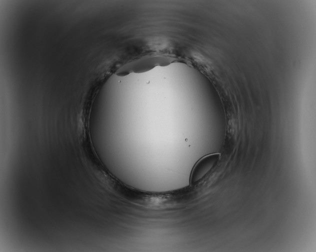 X0000088090662200705251430