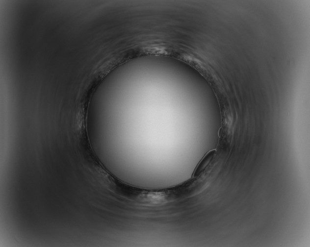 X0000088090665200705251430