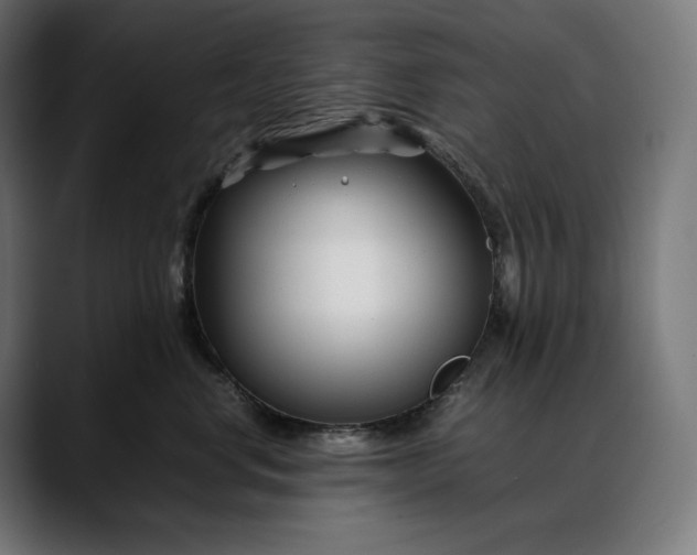 X0000088090668200705251430