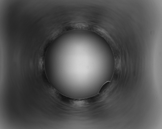 X0000088090669200705251430