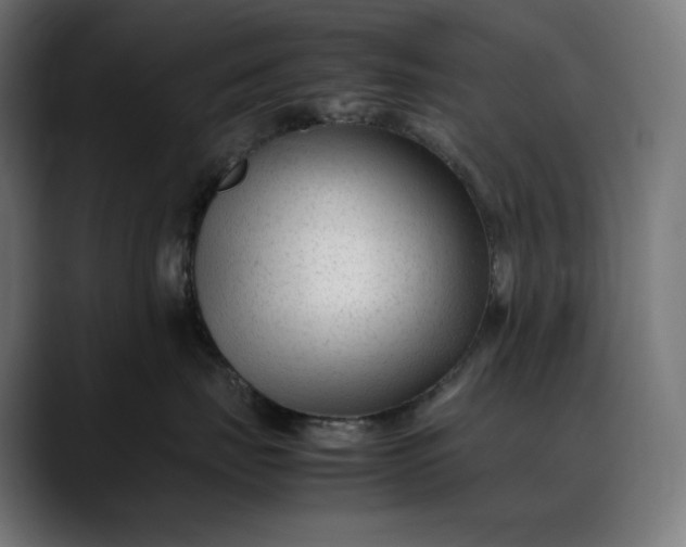 X0000088090671200705251430