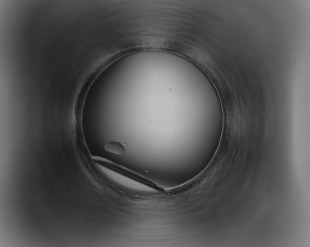 X0000088090674200705251429