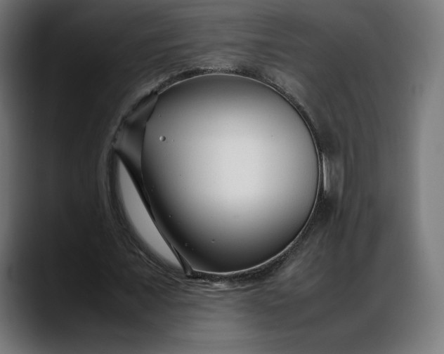 X0000088090675200705251429