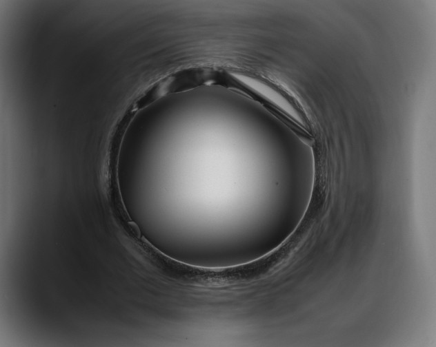 X0000088090677200705251429