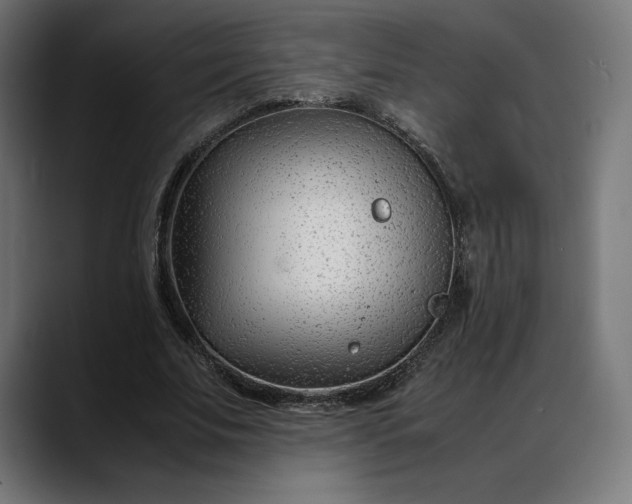 X0000088090679200705251429