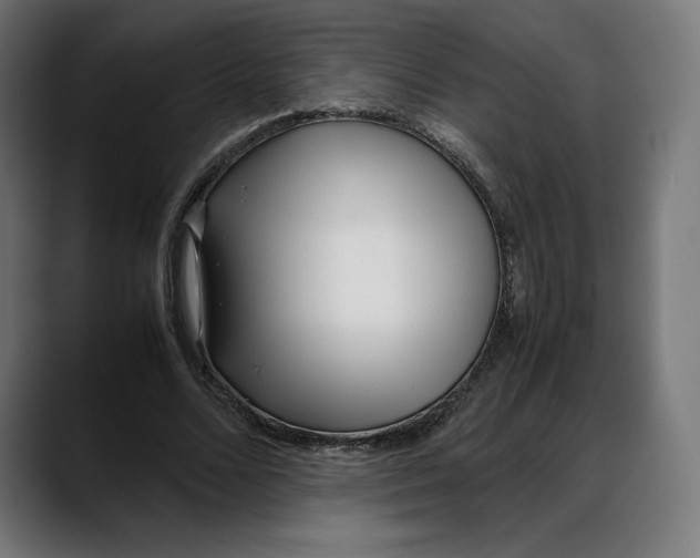 X0000088090680200705251429