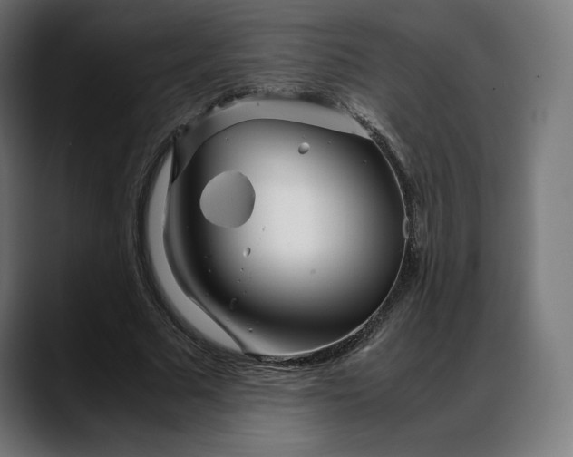 X0000088090681200705251429