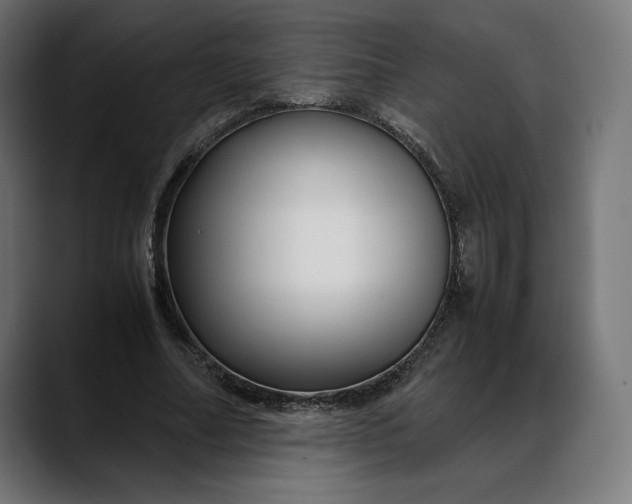 X0000088090682200705251429