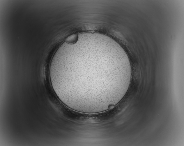 X0000088090683200705251429