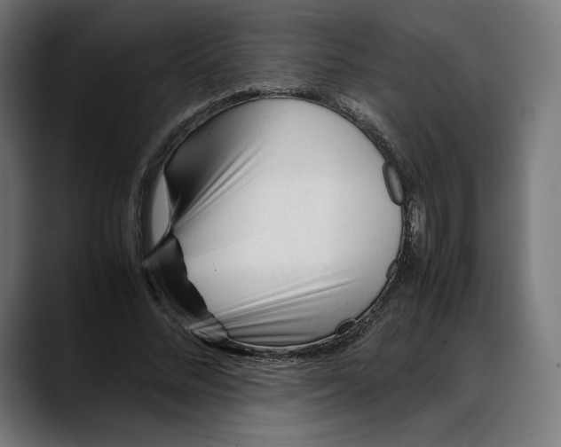 X0000088090684200705251429