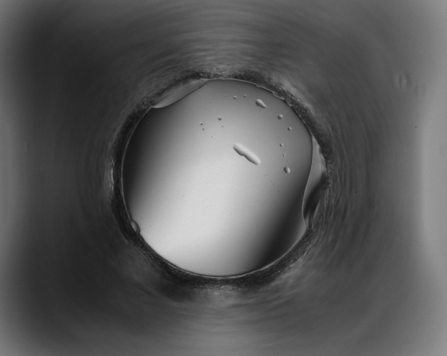 X0000088090685200705251429