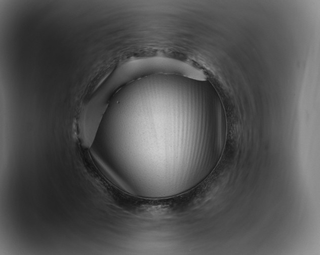 X0000088090689200705251429