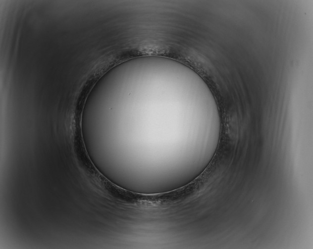 X0000088090690200705251429