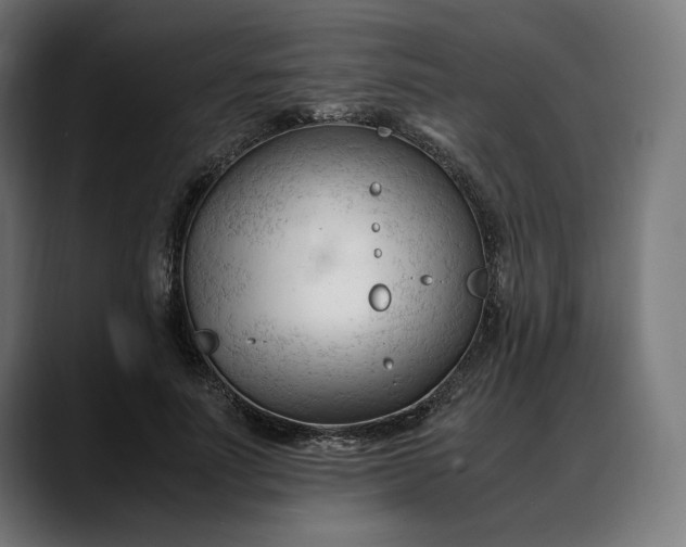 X0000088090691200705251429