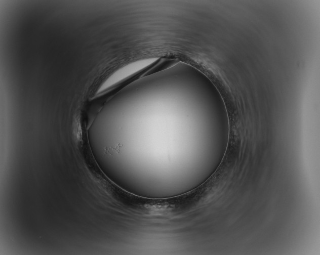 X0000088090693200705251429