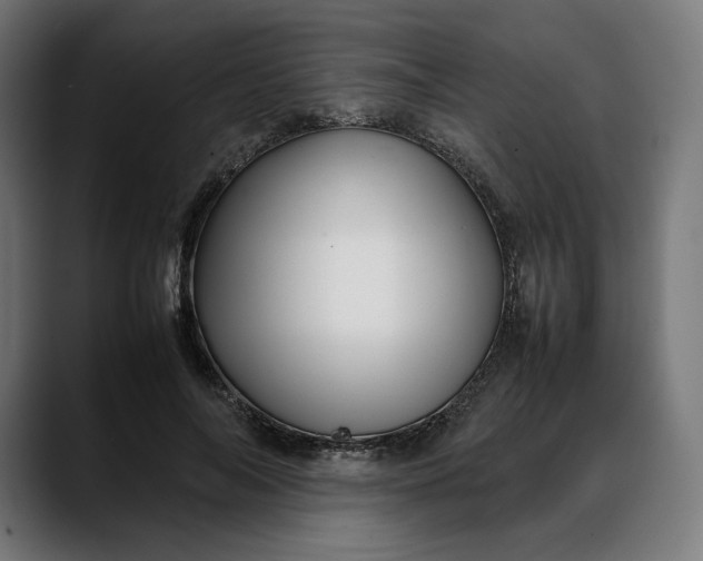 X0000088090694200705251429