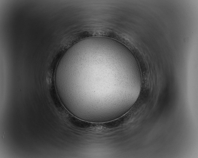 X0000088090695200705251429