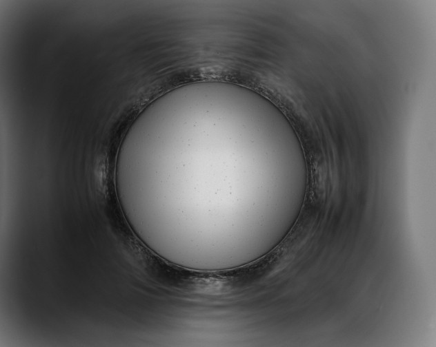 X0000088090698200705251429