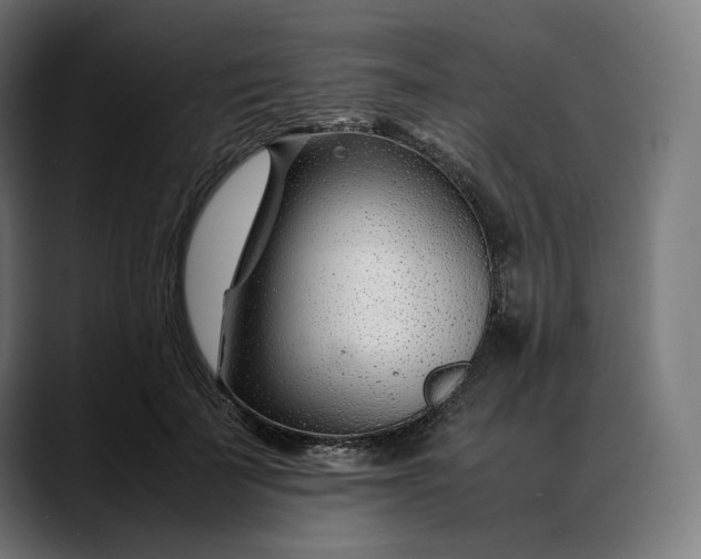 X0000088090699200705251429