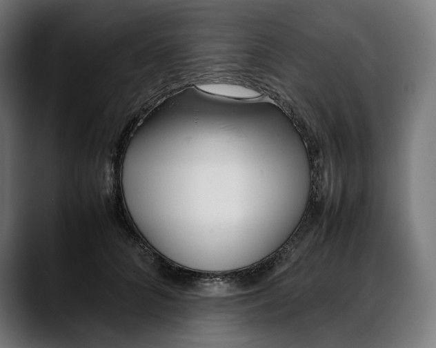 X0000088090704200705251429