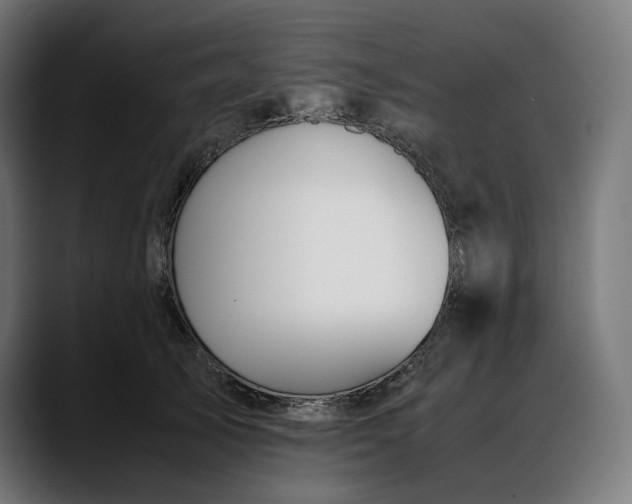 X0000088090705200705251429